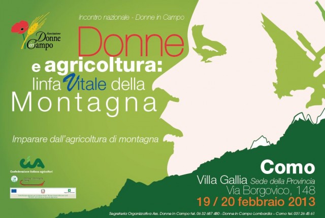 convegno d in campo