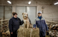 Ricerca per Donne in Campo. Sara Roncaglia, Bianca Pastori, Riccardo Apuzzo, Diego Ronzio