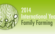 LOGO_IYFF_en_web