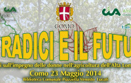 convegno 23 maggio Como taglio