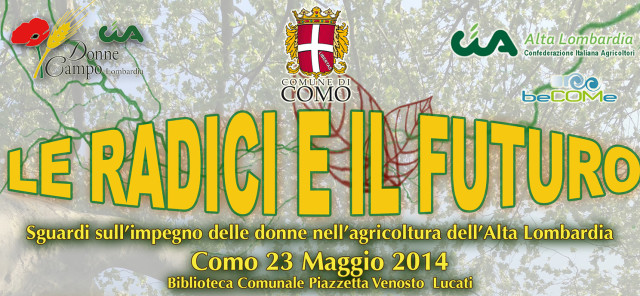 convegno 23 maggio Como taglio