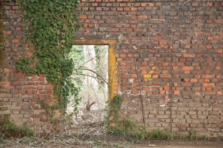 Fotografia di Umberto Gillio